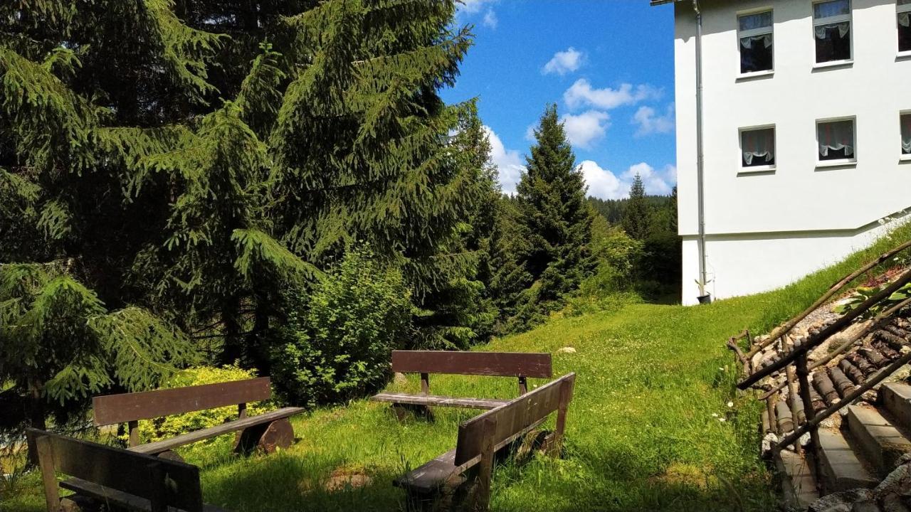 Гостевой дом Greizer Kammhuette Gaststaette & Клингенталь