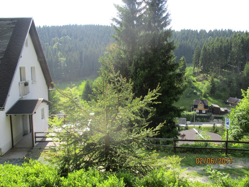 Greizer Kammhuette Gaststaette & Гостевой дом 3*
